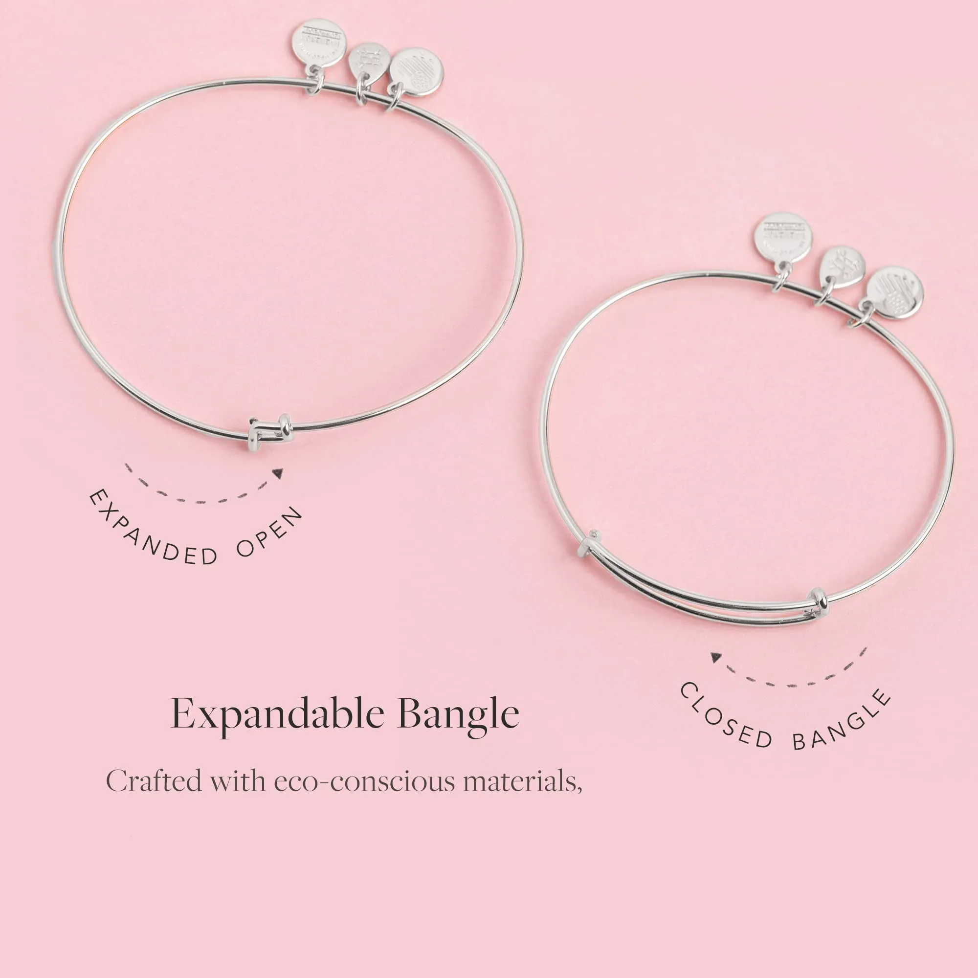 Alex and Ani Because I Love You Sister Expandable Wire Bangle Bracelet for Women, Woven Together Charm, Shiny Antique Silver Finish, 2 to 3.5 in